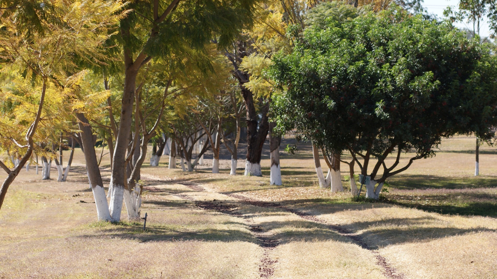 Residencial El Molino Country & Lifestyle