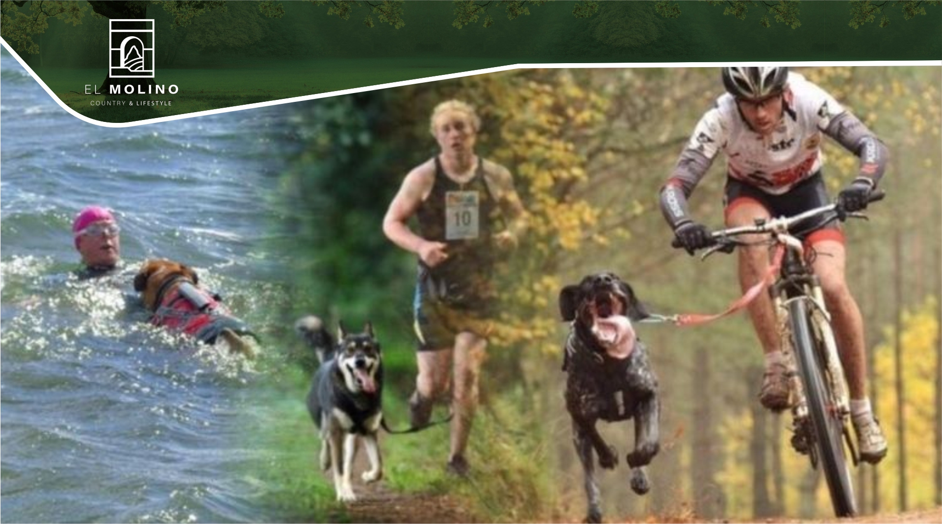 Triatlon canino El Molino Country & Lifestyle